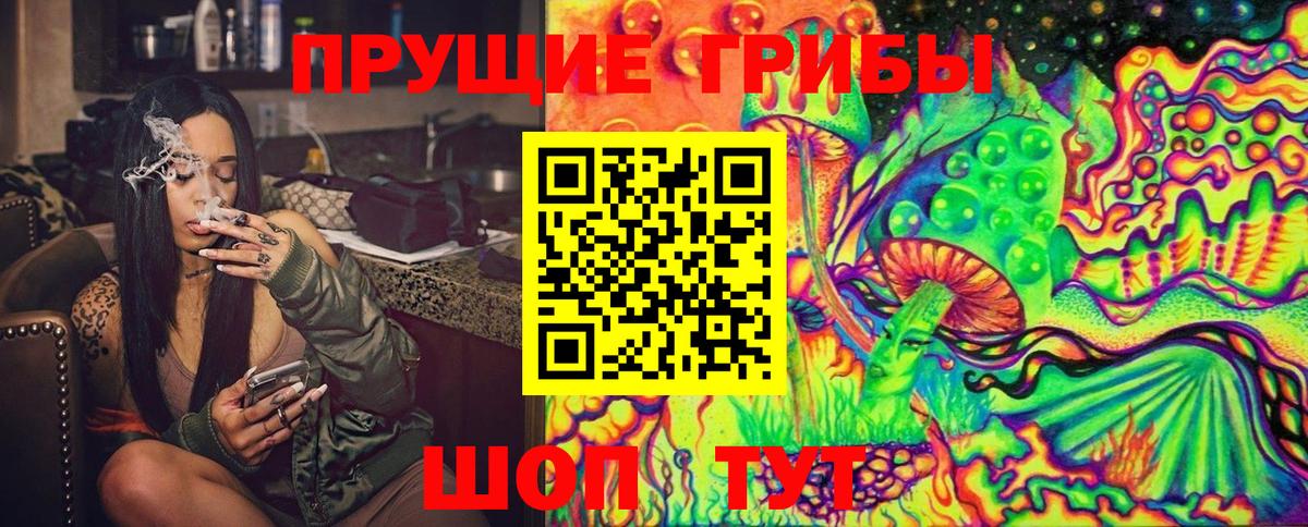 Псилоцибиновые грибы Psilocybe  где найти   Волоколамск  Вход с VPN 
