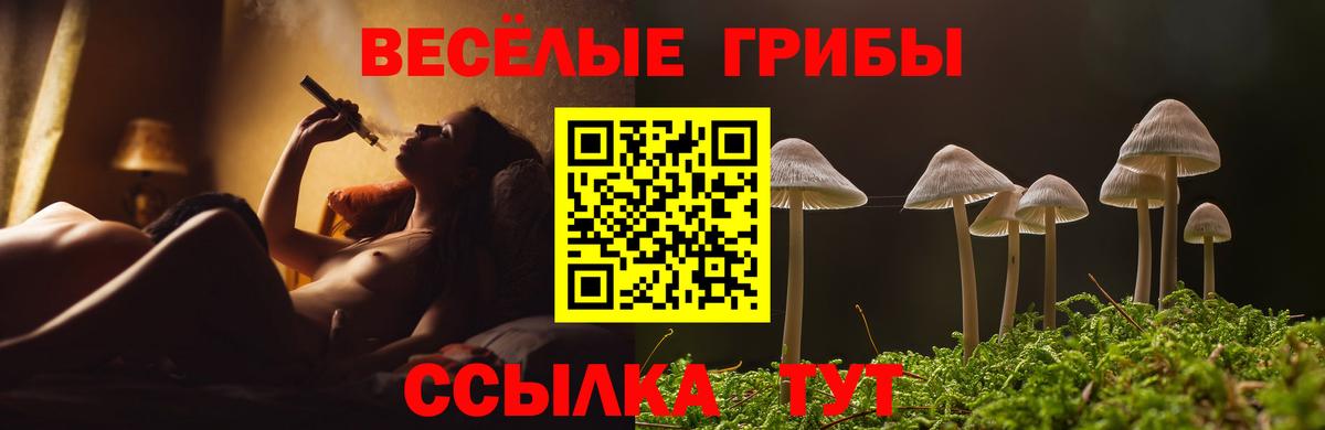Псилоцибиновые грибы мицелий Волоколамск